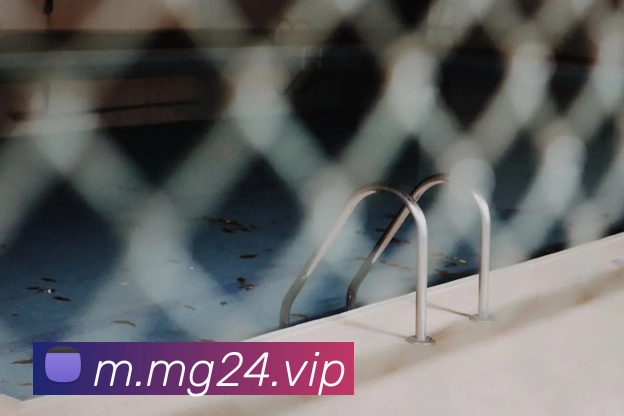 奖项证书